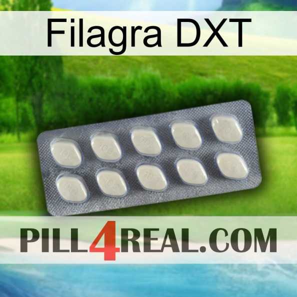 Filagra DXT 08
